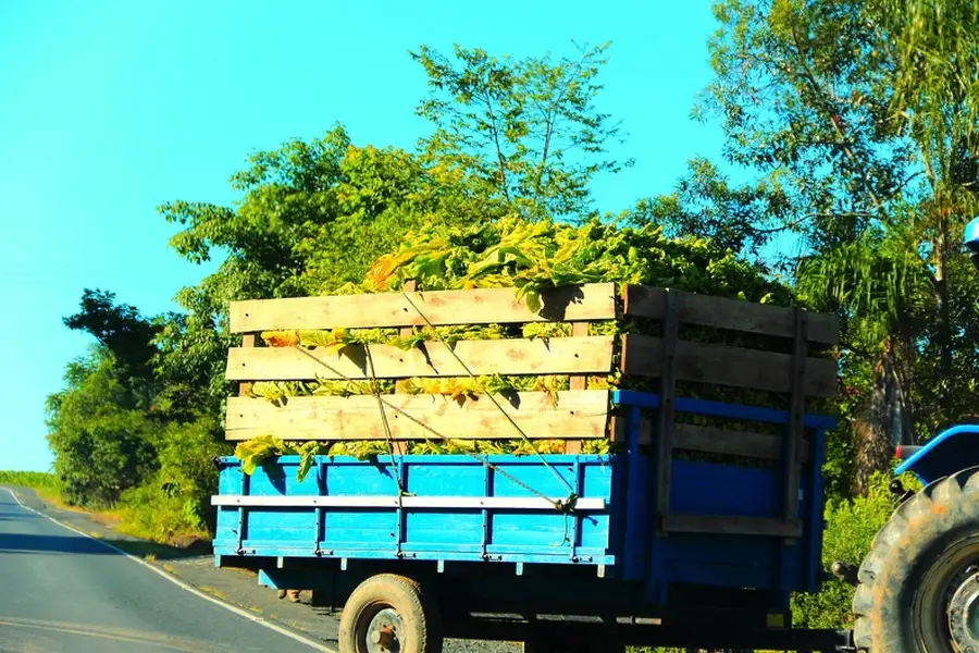 Premium Hauling Services Williamsburg, VA Premium Hauling Services Williamsburg, VA